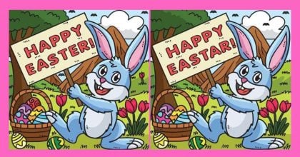 Тест на IQ: потрібно знайти 8 відмінностей на зображенні кролика за 45 секунд