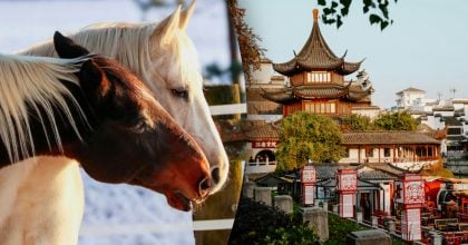 Китайский гороскоп на сегодня, 8 апреля: Лошадям - перезагрузка, Петухам - шанс