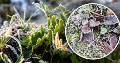 Київ та область охопить різке похолодання: синоптики попередили про заморозки