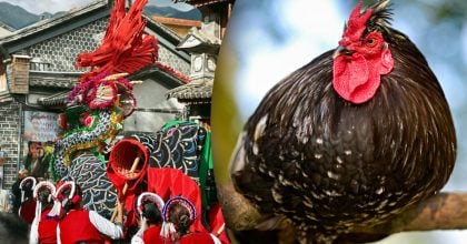 Китайський гороскоп на завтра, 10 квітня: Півням — спротив, Коням — переїзд