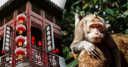 Китайський гороскоп на завтра, 11 квітня: Мавпам - розставання, Свиням - лідерство