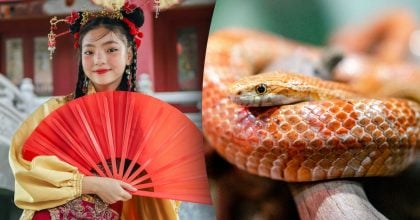 Китайський гороскоп на завтра, 15 квітня: Свиням — подарунки, Зміям — порада