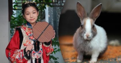 Китайський гороскоп на сьогодні, 16 квітня: Півням — відсіч, Кролям — розрахунок