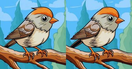 Тест на IQ: потрібно знайти 3 відмінності на зображенні птаха на дереві за 29 с