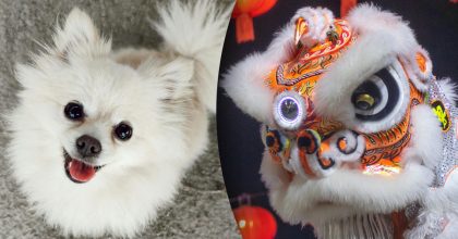 Китайський гороскоп на завтра, 17 квітня: Собакам — спокуса, Драконам — нові шляхи