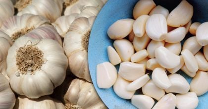 Часник зберігатиметься місяцями і не проросте – що потрібно зробити