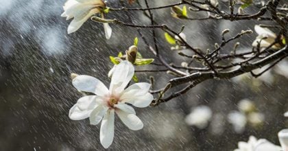 Циклон с дождями накроет Львовщину: синоптики предупредили об ухудшении погоды