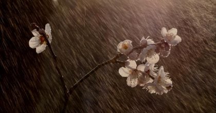 Київ та область під загрозою: синоптики попередили про різку зміну погоди