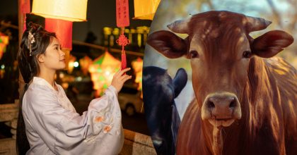 Китайский гороскоп на сегодня, 19 апреля: Быкам - контроль, Драконам - отдых