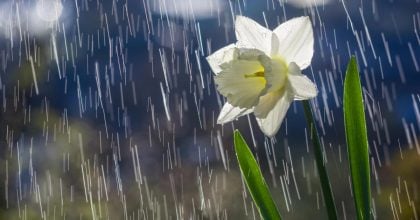 Циклон із Румунії несе шторм на Львівщину: коли очікується сильна негода