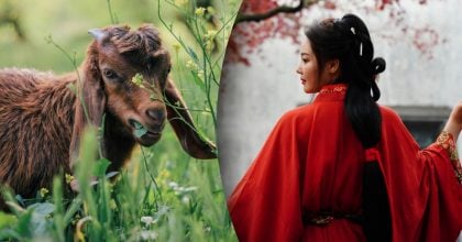 Китайський гороскоп на сьогодні, 21 квітня: Кролям — впертість, Козлам — примирення