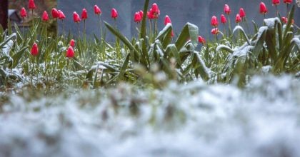 Морози вдарять з новою силою: синоптик назвав дату різкого потепління