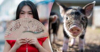 Китайський гороскоп на завтра, 22 квітня: Мавпам — провокації, Свиням — непередбачуваність