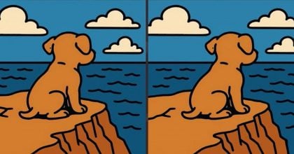 Тест на IQ: потрібно знайти 3 відмінності на картинці собаки на скелі за 31 с