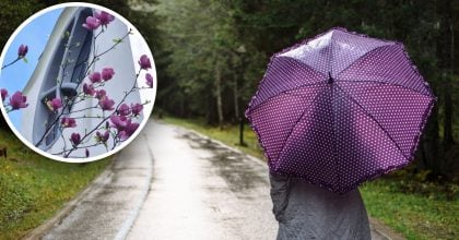 Поки Європу "плавить" до +39°, в Україні різко похолодає: про що попередила синоптикиня