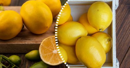 Лимони будуть свіжими тижнями: простий трюк, про який мало хто знає