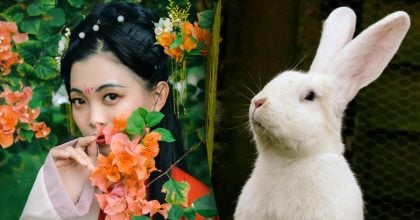 Китайський гороскоп на завтра, 29 квітня: Кролям — егоїзм, Свиням — прорив