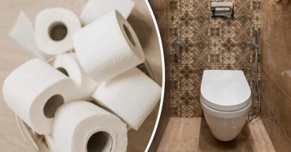Знайдено заміну туалетному паперу: багато хто вже використовує сучасний метод