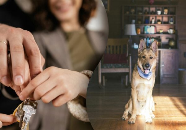 Подружжя попросило друга доглянути за будинком і пошкодувало: що сталося