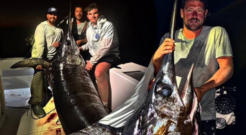 Нагодували частину міста: рибалки виловили морського монстра вагою 217 кг