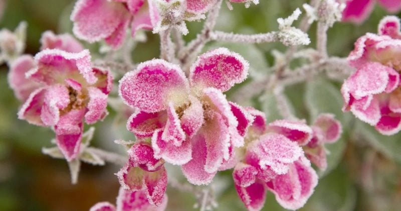 Погода на Житомирщине готовит неприятный сюрприз на Пасхальные выходные: чего ожидать