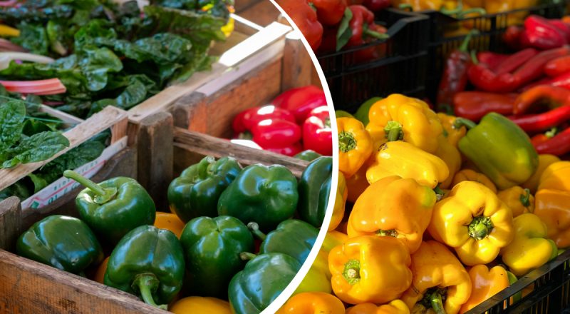 Красный, желтый или зеленый - какой перец полезнее: врачи удивили ответом
