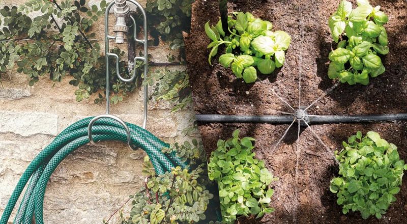 Автополив огорода и сада своими руками: как сделать правильно