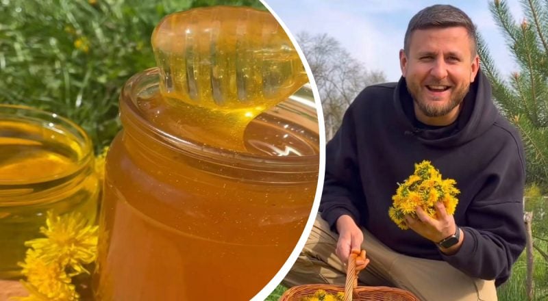Корисне й смачне, як мед: як приготувати варення з кульбаб - перевірений рецепт