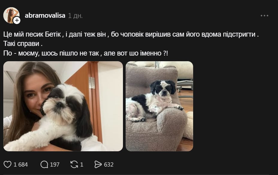 собака бетик