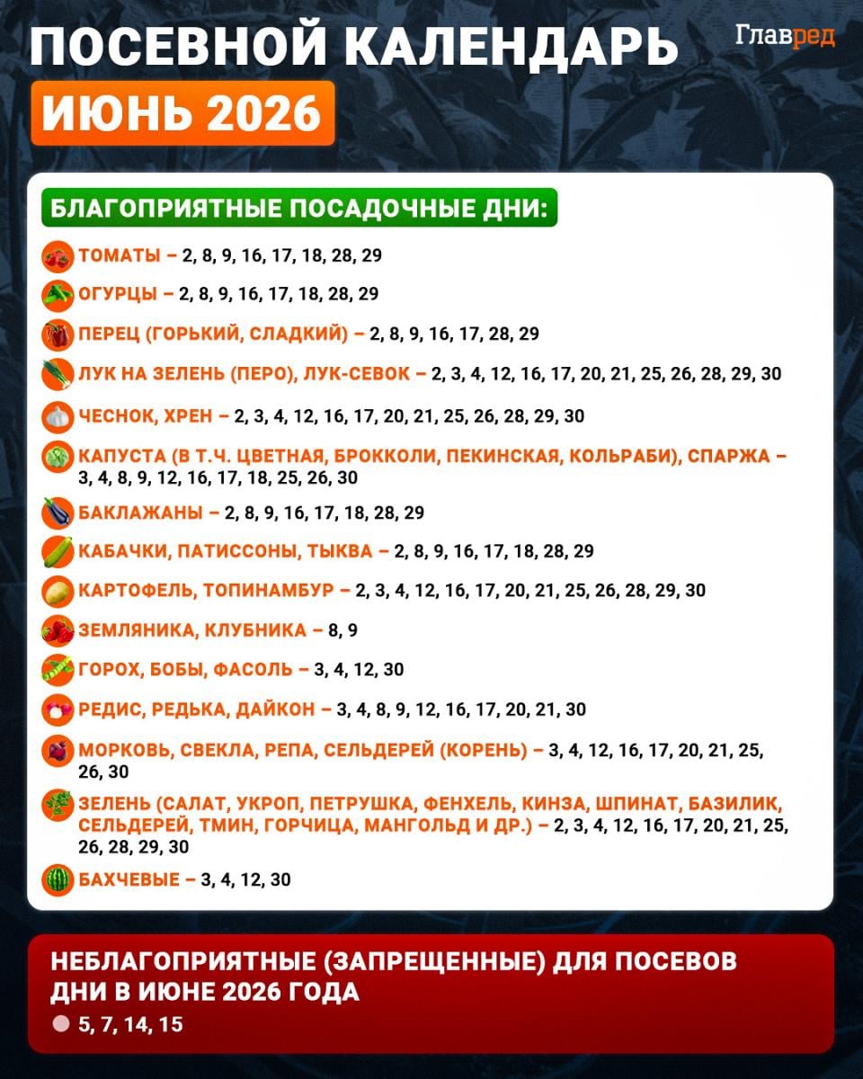 Лунный посевной календарь на июнь