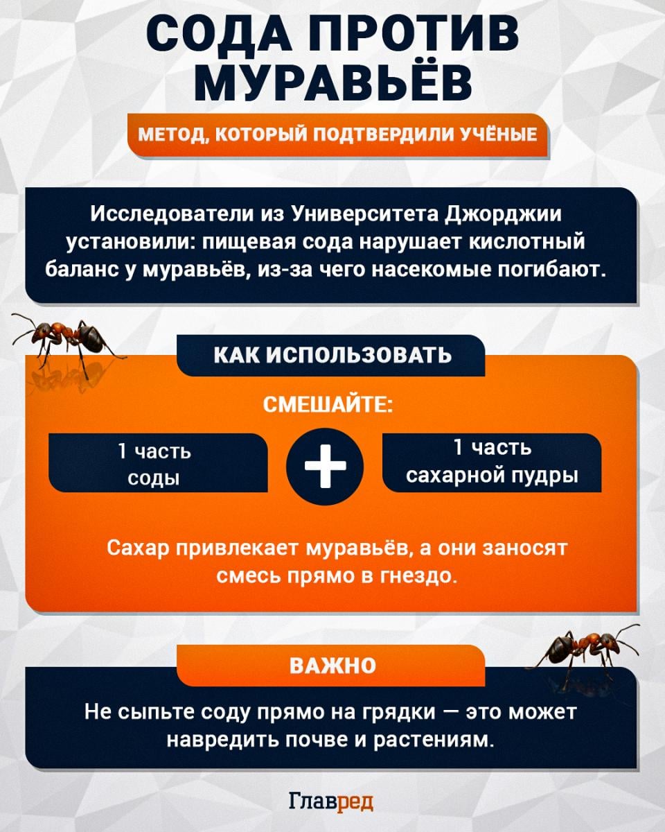 Сода против муравьев