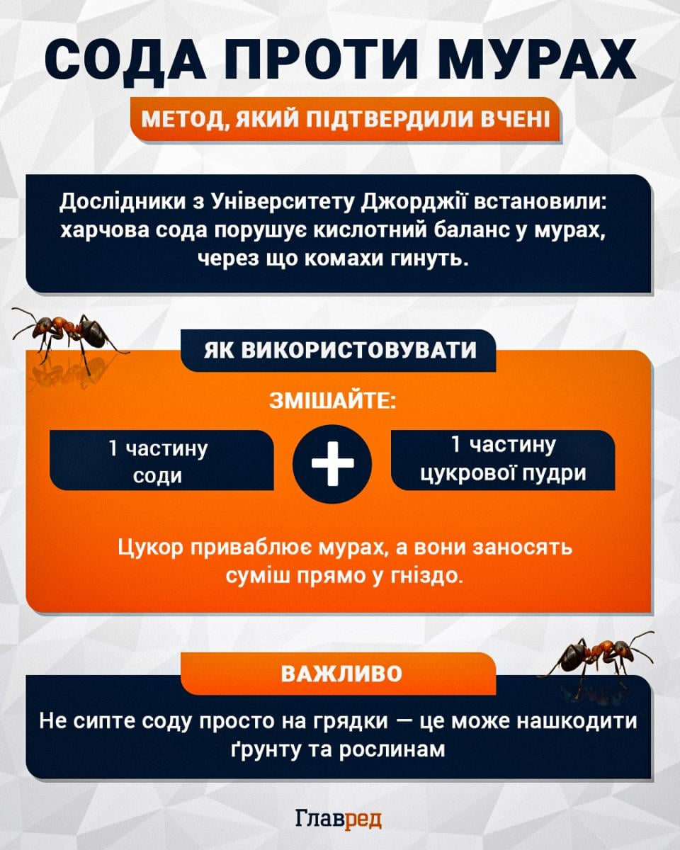 Сода проти мурах Сода проти мурах