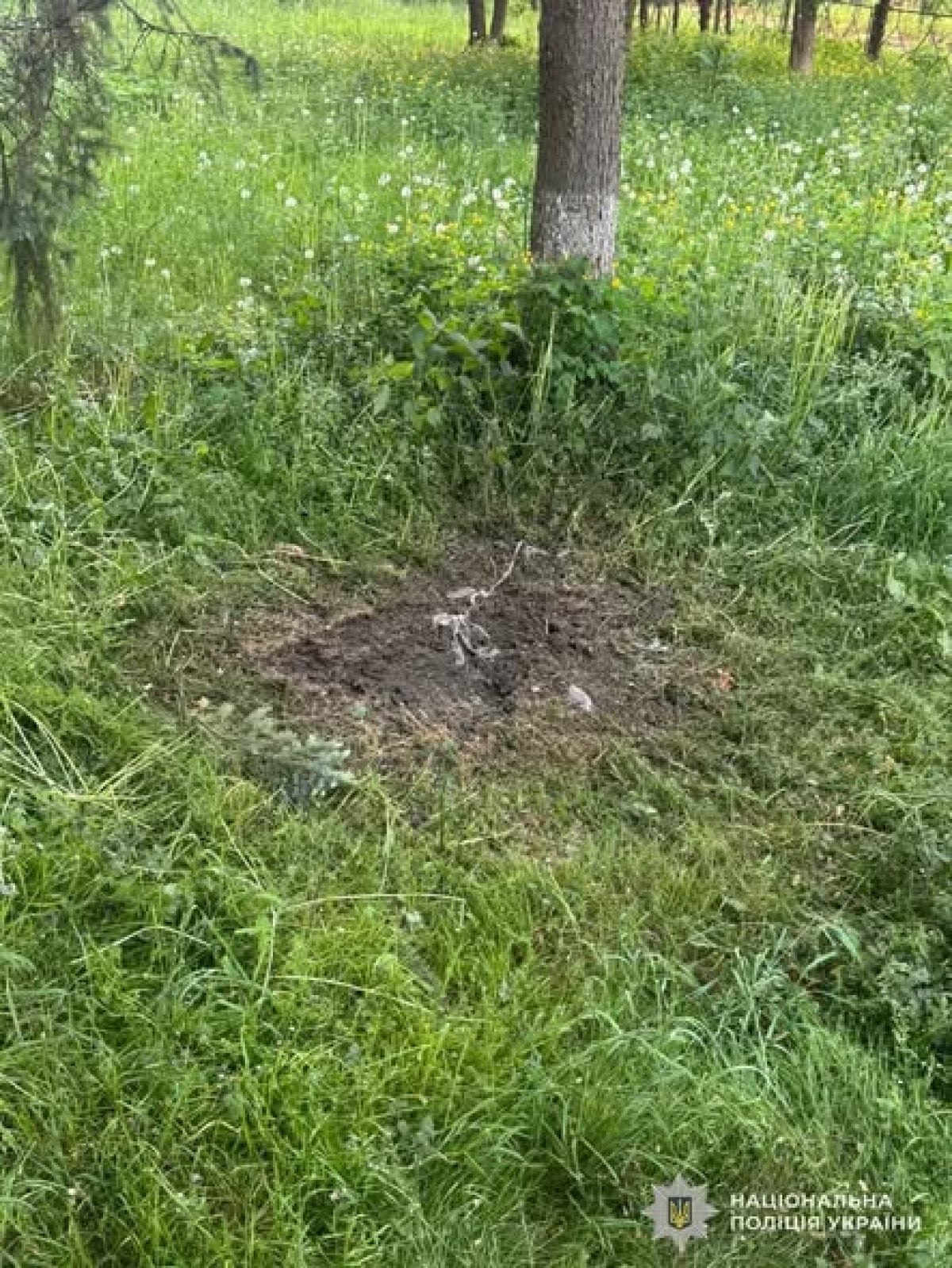 На Львівщині прогримів вибух: чоловік підірвав бойову гранату біля стадіону