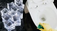 Зачем бросать лед в унитаз: необычный, но действенный трюк