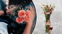 Как не опозориться с букетом: какие цветы нельзя дарить и почему