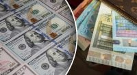 Гривня внезапно начала расти: новый курс валют на 8 мая