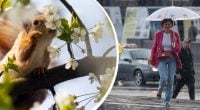 На Житомирщину надвигаются похолодание и гроза: когда погода резко изменится