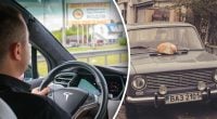 В Україні хочуть зрівняти електромобілі та звичайні автомобілі: що це означає