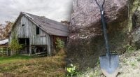Стародавнє срібло: на занедбаній фермі знайшли скарб віком 1100 років