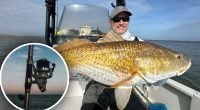 Вода буквально кипіла: рибалка витягнув 31-кілограмового монстра
