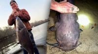 Рыбак поймал чудовище со дна реки и несколько часов не мог прийти в себя