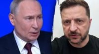 Як Путін ставиться до Зеленського: професор із США "розкусив" диктатора
