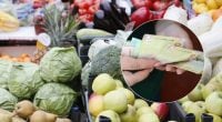 Різкий ціновий поворот: один популярний овоч несподівано подешевшав
