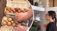 Як довго насправді яйця залишаються свіжими у холодильнику: відповідь точно здивує