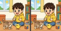 Супертест на IQ: нужно найти 3 отличия на картинке мальчика с котом за 37 с