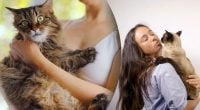 Як правильно брати кота на руки: більшість робить помилку, яка лякає тварину