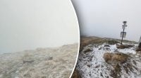 В Украине выпал снег перед началом лета: где ударил мороз