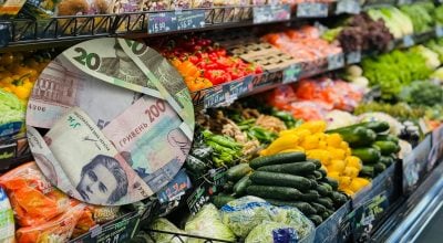 В Україні продовжують дешевшати помідори