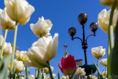 В Україні різко пригріє, але ненадовго: названо дату нового похолодання