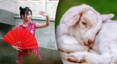 Китайський гороскоп на завтра, 5 травня: Козлам — подолання, Півням — перепочинок